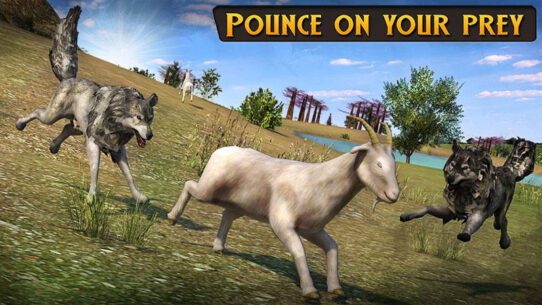 Wolf Life Simulation 2017  1.0 Apk + Mod for Android 3