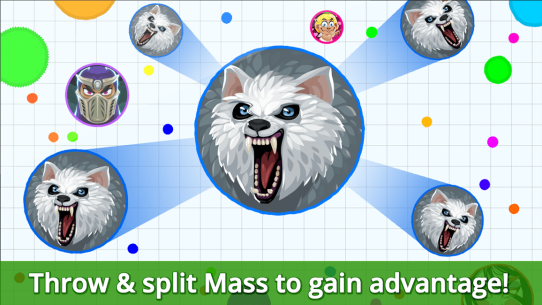 Agar.io 2.28.9 Apk for Android 5