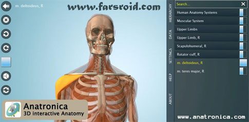 anatomy 3d pro anatronica cover