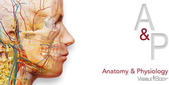 Anatomy & Physiology 6.2.00 Apk + Data for Android 1 anatomy and physiology android cover