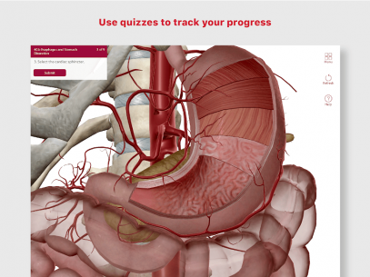 Anatomy & Physiology 6.2.00 Apk + Data for Android 5