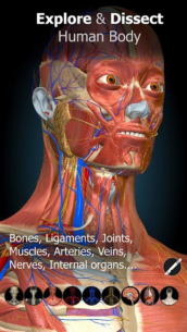 Anatomy Learning – 3D Anatomy 2.1.425 Apk for Android 1