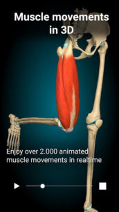 Anatomy Learning – 3D Anatomy 2.1.425 Apk for Android 2