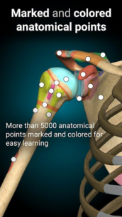 Anatomy Learning – 3D Anatomy 2.1.425 Apk for Android 3