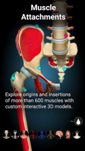 Anatomy Learning – 3D Anatomy 2.1.425 Apk for Android 4