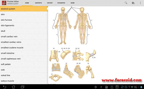 atlas of anatomy cover