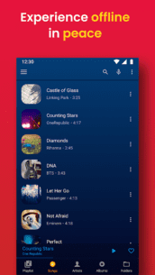 Music Player – Audify Player (PRO) 1.172.1 Apk for Android 4