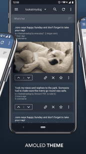 BaconReader Premium for Reddit 6.1.3.1 Apk for Android 2