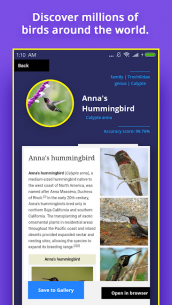 Bird Identifier 1.4 Apk for Android 2