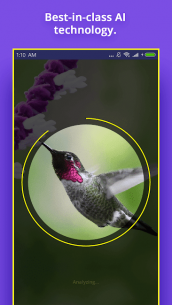 Bird Identifier 1.4 Apk for Android 4