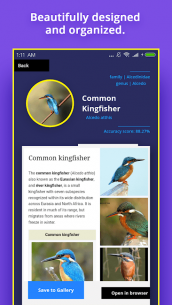 Bird Identifier 1.4 Apk for Android 5