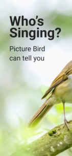 Picture Bird Bird Identifier (PREMIUM) 2.9.29 Apk for Android 1