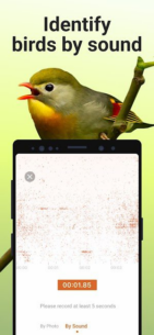 Picture Bird Bird Identifier (PREMIUM) 2.9.29 Apk for Android 3