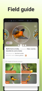 Picture Bird Bird Identifier (PREMIUM) 2.9.29 Apk for Android 4