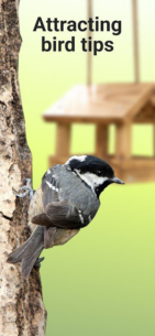 Picture Bird Bird Identifier (PREMIUM) 2.9.29 Apk for Android 5