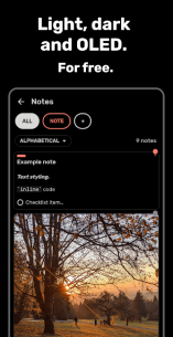 Bundled Notes – Lists, To-do (PRO) 3.0.2 Apk for Android 5