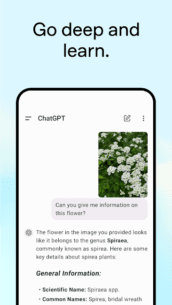 ChatGPT 1.2025.007 Apk for Android 4