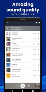 CloudBeats Cloud Music Player (PRO) 2.5.49 Apk for Android 3