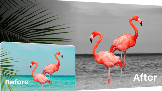 Color Pop Effects Photo Editor (PREMIUM) 6.5 Apk for Android 5