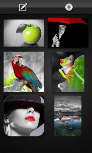 Color Splash FX 1.4.0 Apk for Android 2