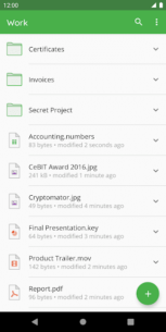 Cryptomator 1.10.3 Apk for Android 5