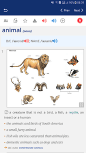 English Learner Dictionary Pro (PREMIUM) 1.0.9 Apk for Android 4