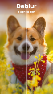 Enhance it – AI Photo Editor (PREMIUM) 4.1.8 Apk for Android 2