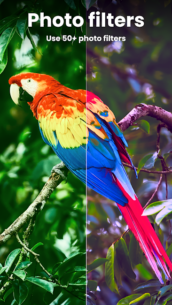 Enhance it – AI Photo Editor (PREMIUM) 4.1.8 Apk for Android 5