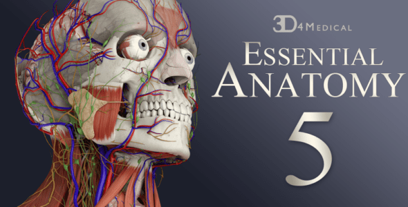 essential anatomy 3 android cover