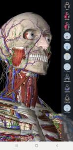 Essential Anatomy 3  1.1.3 Apk for Android 1