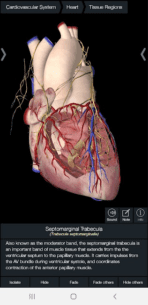 Essential Anatomy 3  1.1.3 Apk for Android 4