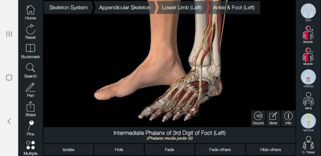 Essential Anatomy 3  1.1.3 Apk for Android 5