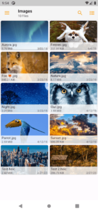 Fennec File Manager (PREMIUM) 4.1.12 Apk for Android 2