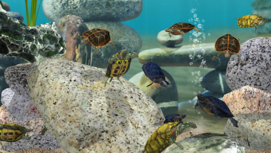 Fish Farm 3 – Aquarium 1.18.8.7180 Apk + Mod for Android 2