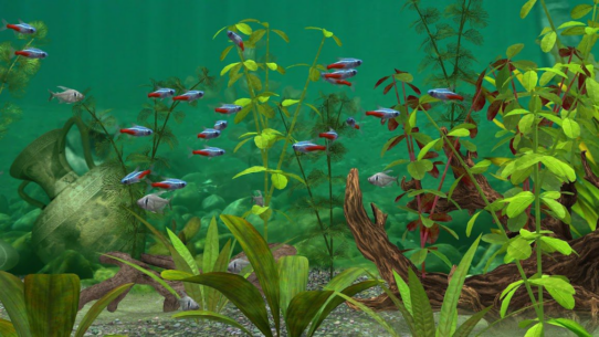 Fish Farm 3 – Aquarium 1.18.8.7180 Apk + Mod for Android 5