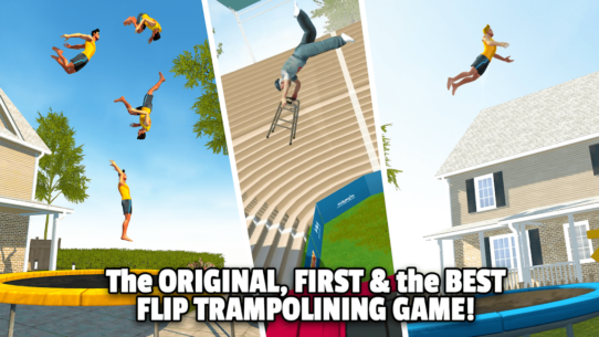 Flip Master 3.1.20 Apk + Mod for Android 1