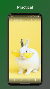 Fossify Gallery 1.3.1 Apk for Android 2