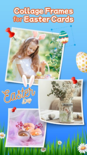 FramMe Photo Editor & Collage (PREMIUM) 0.51 Apk for Android 3