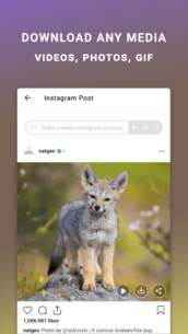 Friendly For Instagram (UNLOCKED) 2.6.2 Apk for Android 2