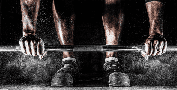GymUp-Pro-workout-notebook (PRO) 11.22 Apk for Android 1 gymup pro workout notebook cover