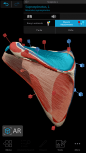 Human Anatomy Atlas 2021: Complete 3D Human Body (UNLOCKED) 2018.5.47 Apk + Mod for Android 3