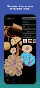 Human Anatomy Atlas 2026 2026.00.019 Apk for Android 2