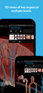 Human Anatomy Atlas 2025 2025.00.012 Apk for Android 2