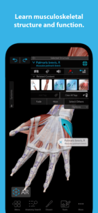 Human Anatomy Atlas 2025 2025.00.012 Apk for Android 3