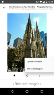 ImageSearchMan – Image Search 3.35 Apk + Mod for Android 4