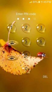 keypad lock screen Pro 1.1 Apk for Android 5