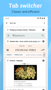 Kiwi Browser – Fast & Quiet 124.0.6327.4 Apk for Android 2