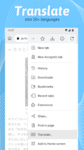 Kiwi Browser – Fast & Quiet 124.0.6327.4 Apk for Android 4