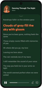 Lark Player:Music Player & MP3 (PRO) 6.18.7 Apk for Android 3