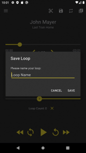 Loop Player 2.1.0 Apk for Android 3